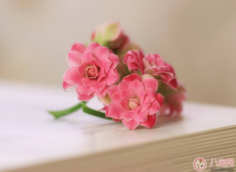 胎教最佳时间是什么时候 准妈妈怎么做胎教对胎儿最好